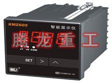 溫度表、數(shù)字顯示儀、濕度表