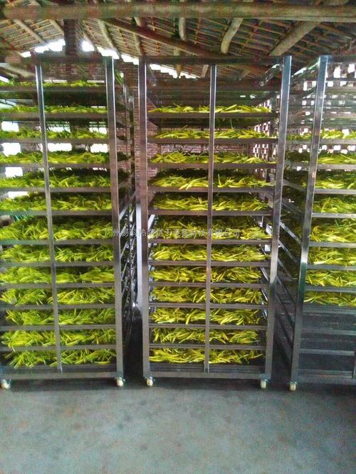 黃花菜烘干機(jī)、黃花菜烘干設(shè)備、黃花菜干燥機(jī)、黃花菜干燥設(shè)備、